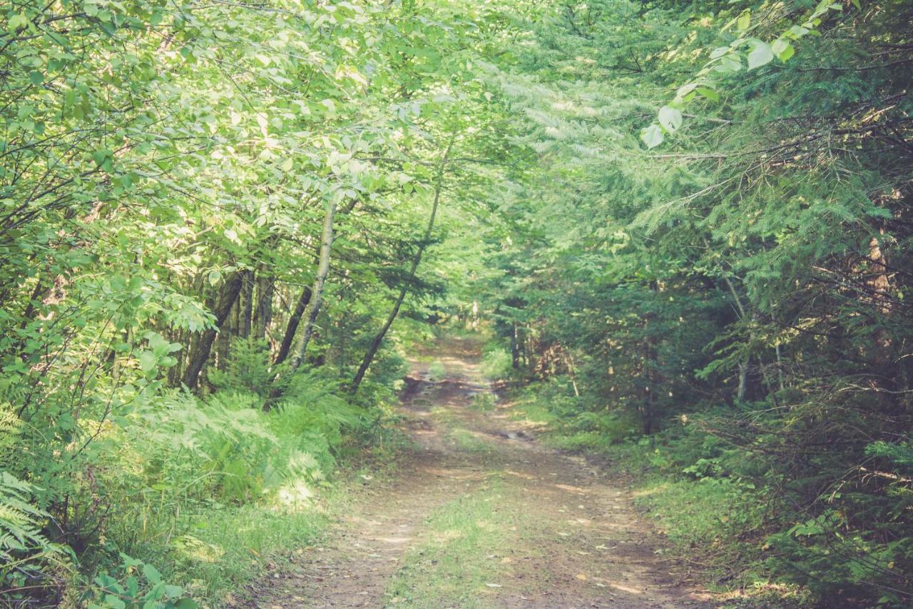 North Ironwood Acres - Black River Lodge エクステリア 写真