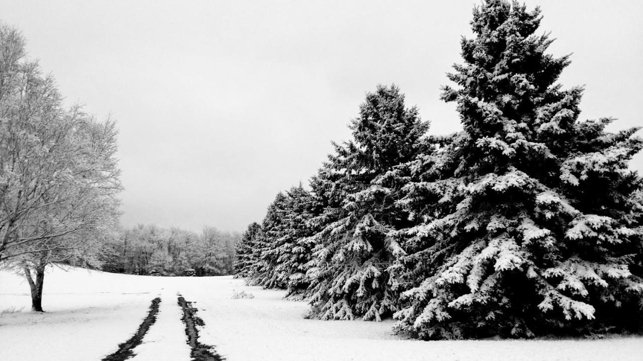 North Ironwood Acres - Black River Lodge エクステリア 写真